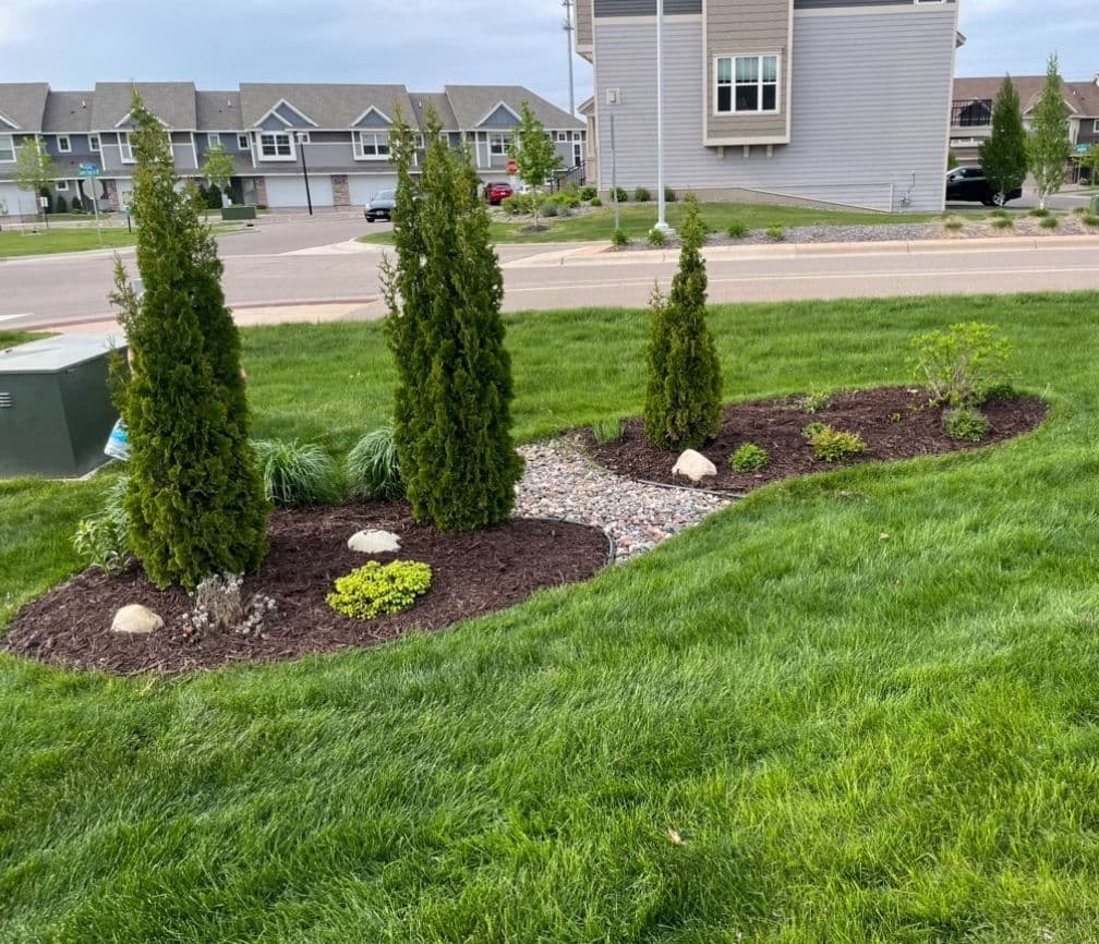 Blog post Stay Ahead of Weeds This Summer! image